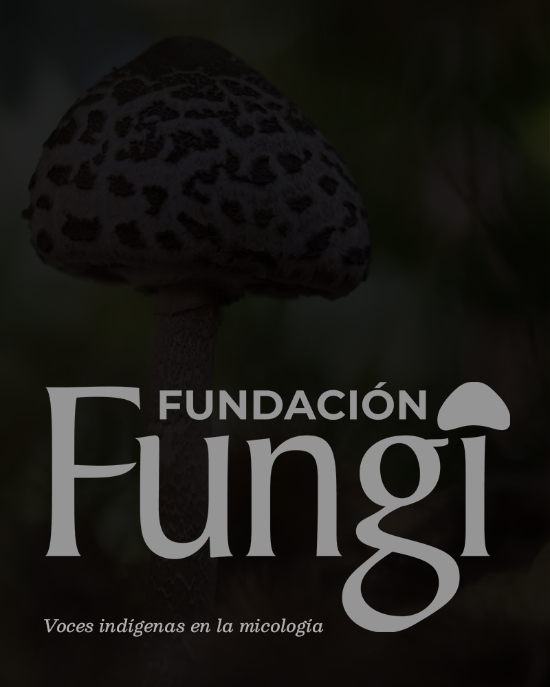 Ganadora de la Beca Fundación Fungi - CLAM 2026