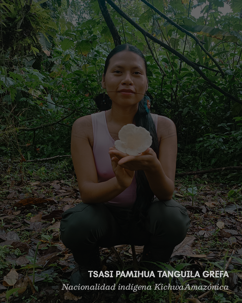 Fundación Fungi - Voces indígenas en la micología