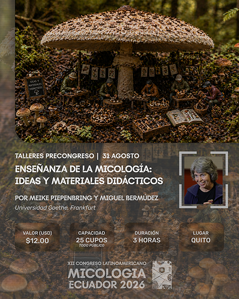 Taxonomía y ecología de hongos de la madera