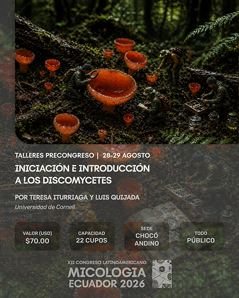 Micelio multipropósito: inóculos más allá del lugar